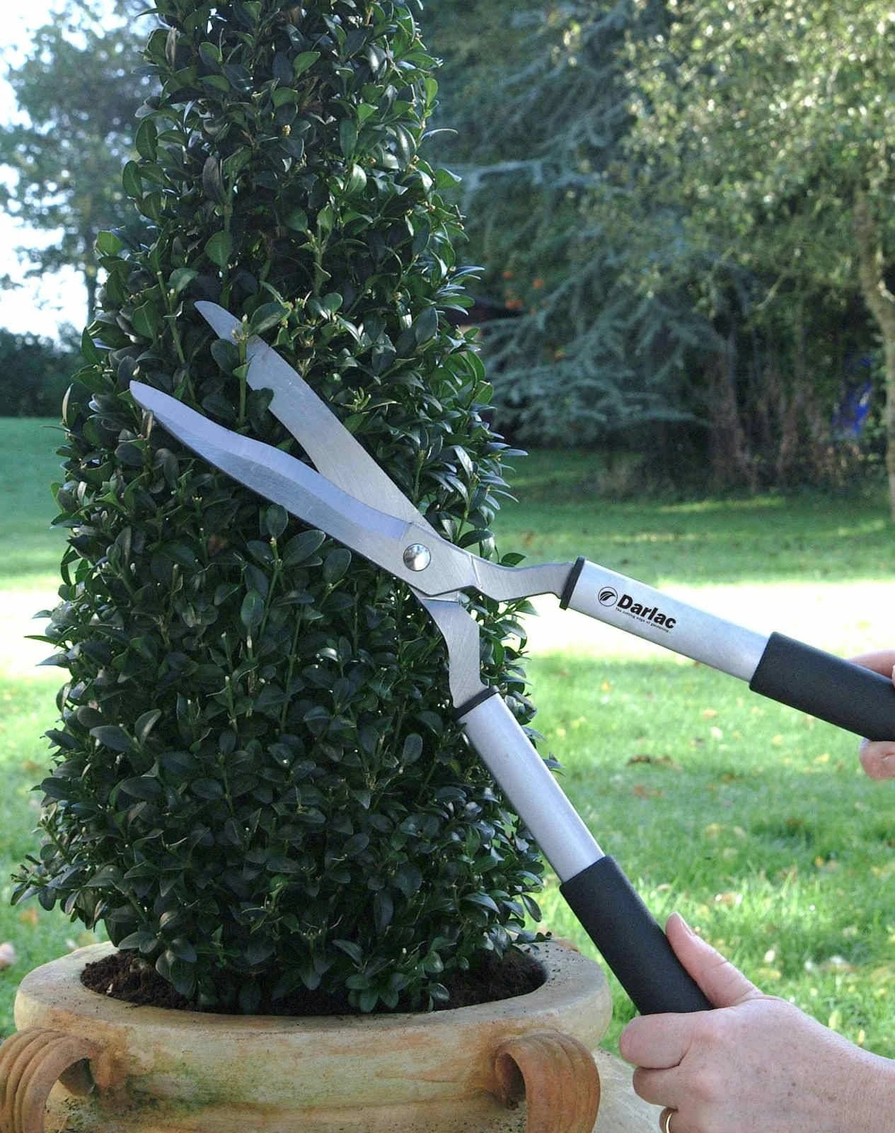 Darlac Lightweight Shear 2 Darlac Lightweight Shear - Image 2