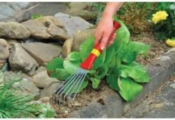 Lawn and Plant Care Store -Lawn and Plant Care Store 39421 11855