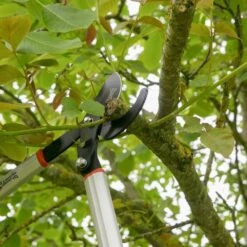 Wilkinson Sword Geared Bypass Loppers -Lawn and Plant Care Store 39498 11742