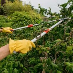 Wilkinson Sword Telescopic Anvil Lopper -Lawn and Plant Care Store 39499 11739