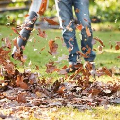 Stihl BGA 57 Boxset (1 X Shell, 1 X AK20 Battery, 1 X AL101 Charger) -Lawn and Plant Care Store 41161 10278