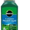 Miracle-Gro Mosskill Liquid 1L