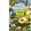 Growing Success Apple Maggot Monitoring Trap