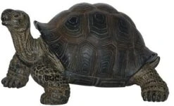 Vivid Arts Baby Tortoise Petpal