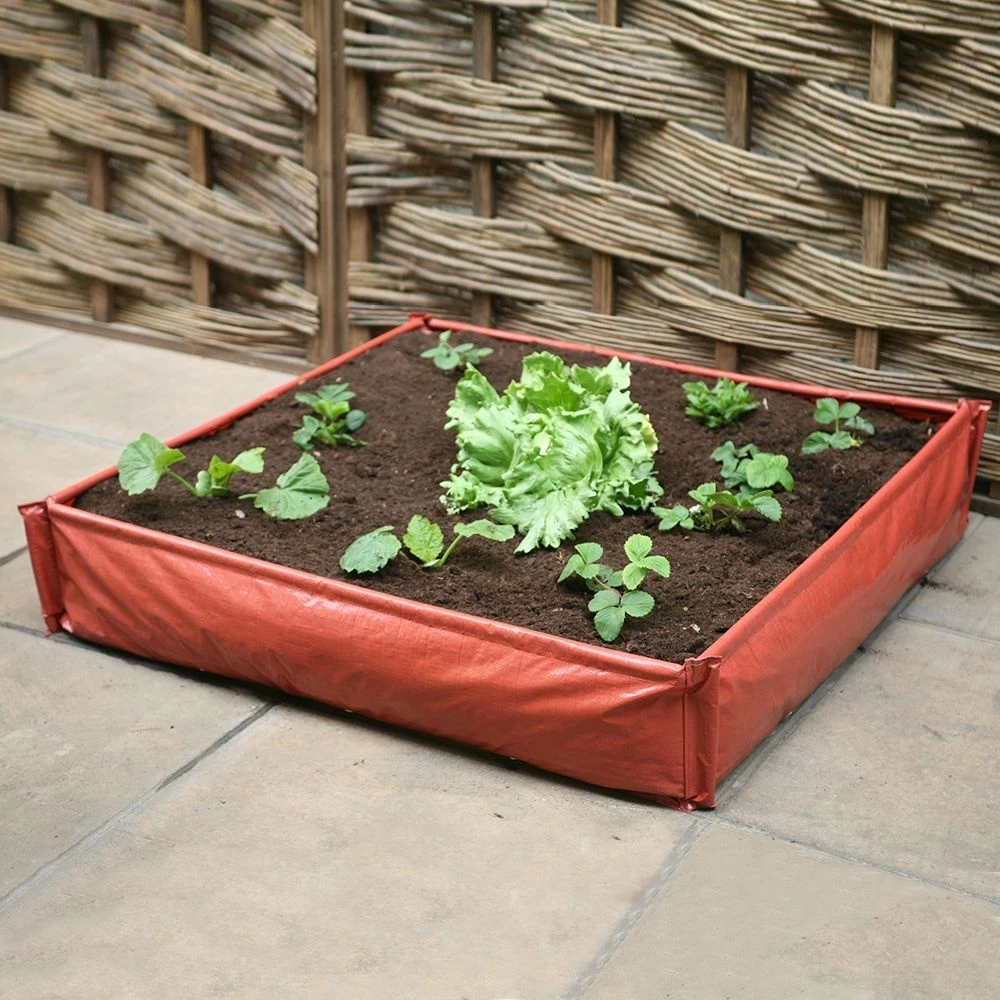 Haxnicks Instant Raised Bed - Patio Planter 1m X 1m 2 Haxnicks Instant Raised Bed - Patio Planter 1m X 1m - Image 2
