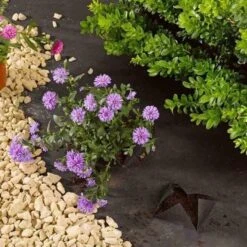 Smart Garden G100 Anti-Weed Fabric 1m X 15m -Lawn and Plant Care Store 44684 5799