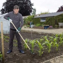 Wilkinson Sword Carbon Steel Dutch Hoe -Lawn and Plant Care Store 45281 5173