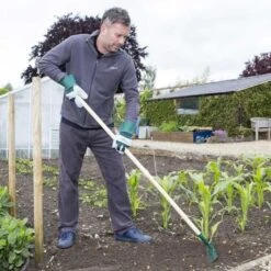 Wilkinson Sword Carbon Steel Garden Rake -Lawn and Plant Care Store 45282 5169