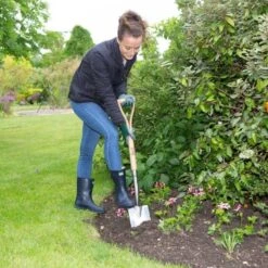 Wilkinson Sword Stainless Steel Border Spade -Lawn and Plant Care Store 45293 5127