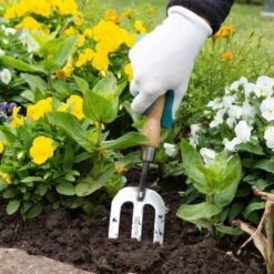 Wilkinson Sword Stainless Steel Hand Fork -Lawn and Plant Care Store 45296 5113