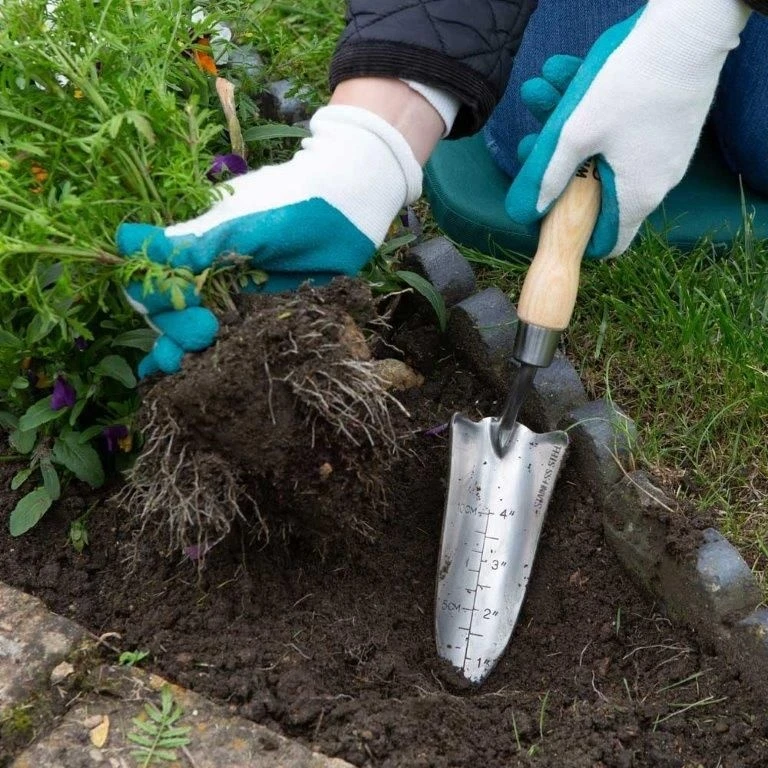 Wilkinson Sword Stainless Steel Hand Transplanter 4 Wilkinson Sword Stainless Steel Hand Transplanter - Image 4