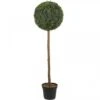 Smart Garden Uno Topiary Tree 120cm