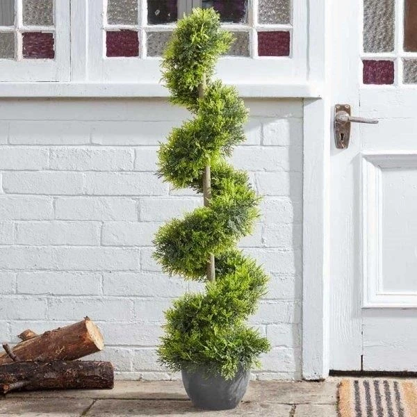 Smart Garden Cypress Topiary Twirl 120cm 2 Smart Garden Cypress Topiary Twirl 120cm - Image 2