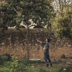 Fiskars PowerGear X Telescopic Tree Pruner UPX86 7 Fiskars PowerGear X Telescopic Tree Pruner UPX86 -Lawn and Plant Care Store 47154 1889