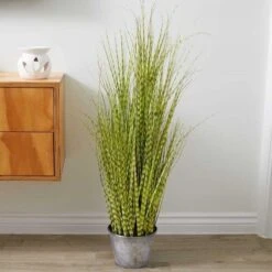 Smart Garden Zebra Grass 90cm