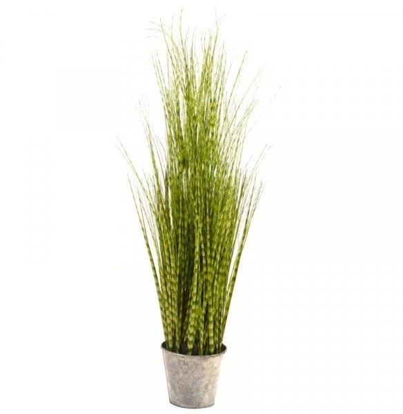 Smart Garden Zebra Grass 90cm 2 Smart Garden Zebra Grass 90cm - Image 2