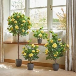 Smart Garden 80cm Regent's Roses - Sunshine Yellow -Lawn and Plant Care Store 50840 31586