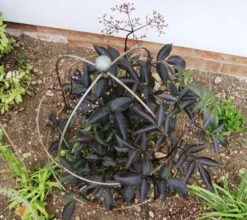 Poppy Forge Bell Cloche - Pack Of 2 -Lawn and Plant Care Store 55876 40909