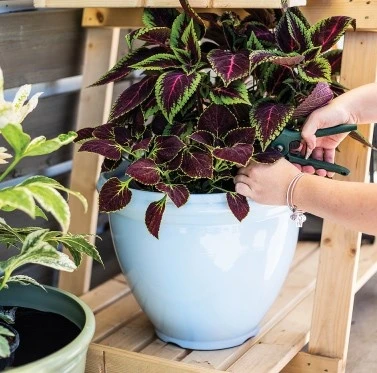 Lawn and Plant Care Store -Lawn and Plant Care Store 35382 15141